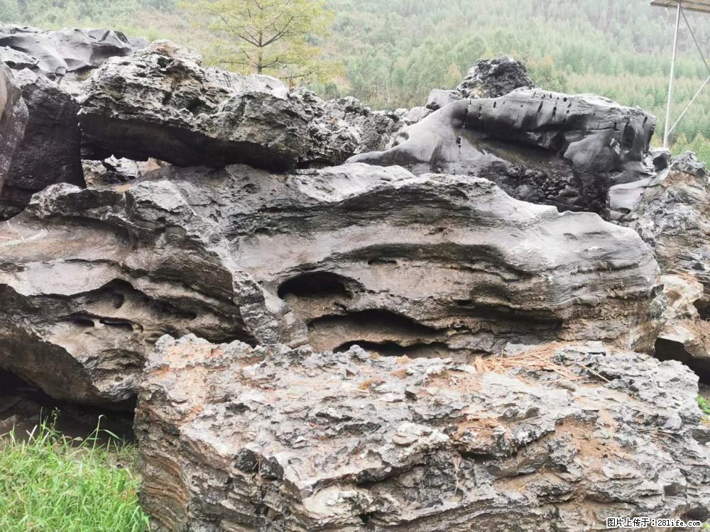 风景石、假山石大量有货，有需要的欢迎联系 - 新手上路 - 资阳生活社区 - 资阳28生活网 zy.28life.net