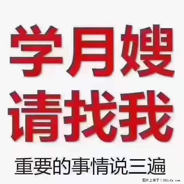 为什么要学习月嫂，育婴师？ - 新手上路 - 资阳生活社区 - 资阳28生活网 zy.28life.net