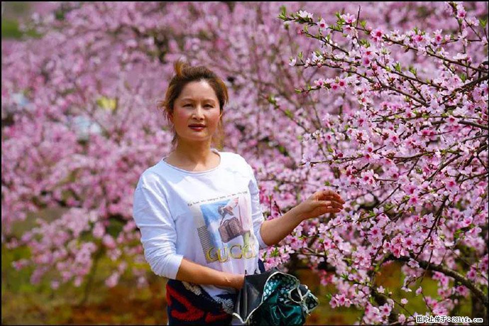 【春天，广西桂林灌阳县向您发出邀请！】官庄村有个醉美的桃花园 - 游山玩水 - 资阳生活社区 - 资阳28生活网 zy.28life.net