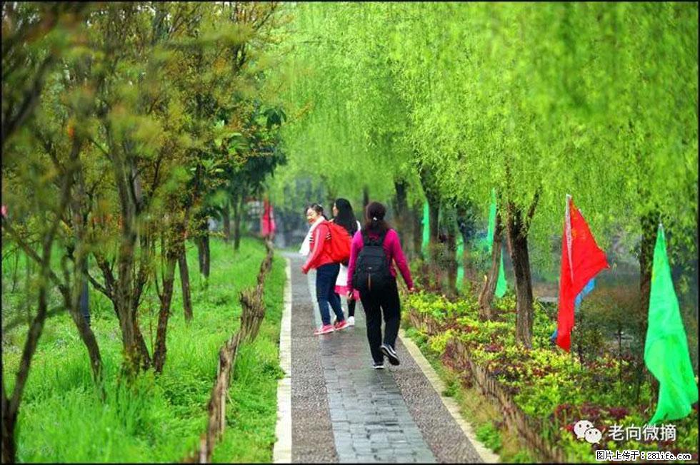【春天，广西桂林灌阳县向您发出邀请！】江口老街又逢春 - 游山玩水 - 资阳生活社区 - 资阳28生活网 zy.28life.net