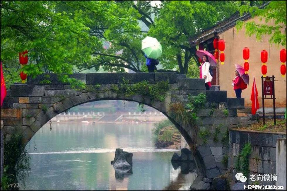 【春天，广西桂林灌阳县向您发出邀请！】江口老街又逢春 - 游山玩水 - 资阳生活社区 - 资阳28生活网 zy.28life.net