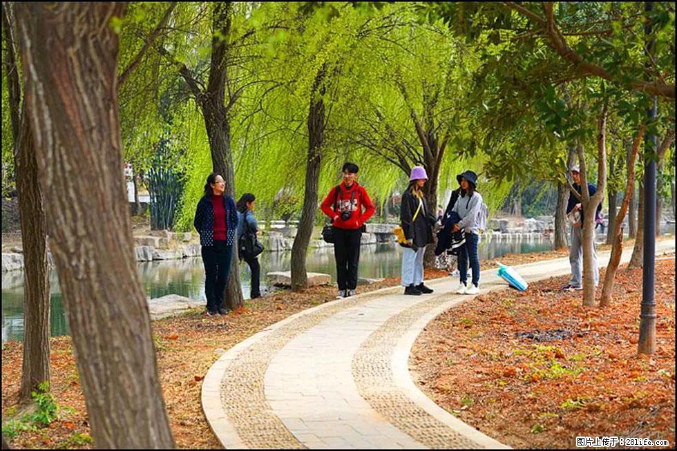 【春天，广西桂林灌阳县向您发出邀请！】江口老街又逢春 - 游山玩水 - 资阳生活社区 - 资阳28生活网 zy.28life.net
