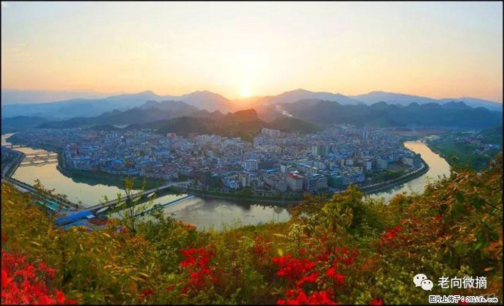 【春天，广西桂林灌阳县向您发出邀请！】登麒麟山，相约映山红 - 游山玩水 - 资阳生活社区 - 资阳28生活网 zy.28life.net