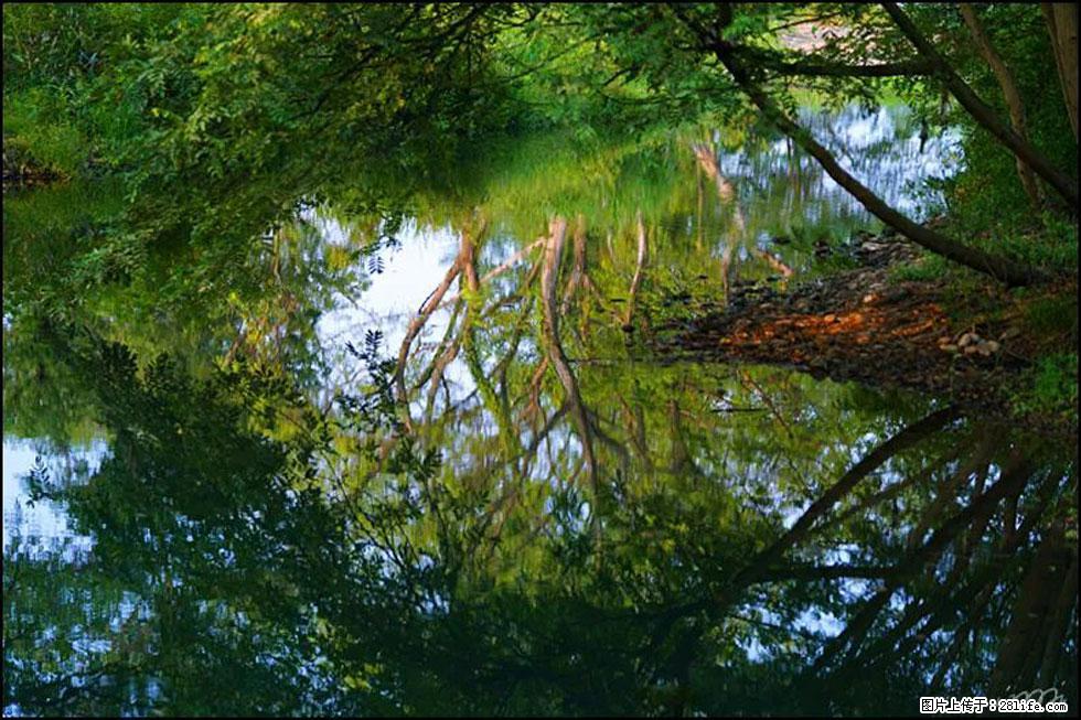 【春天，广西桂林灌阳县向您发出邀请！】熊家寨湿地公园 - 游山玩水 - 资阳生活社区 - 资阳28生活网 zy.28life.net
