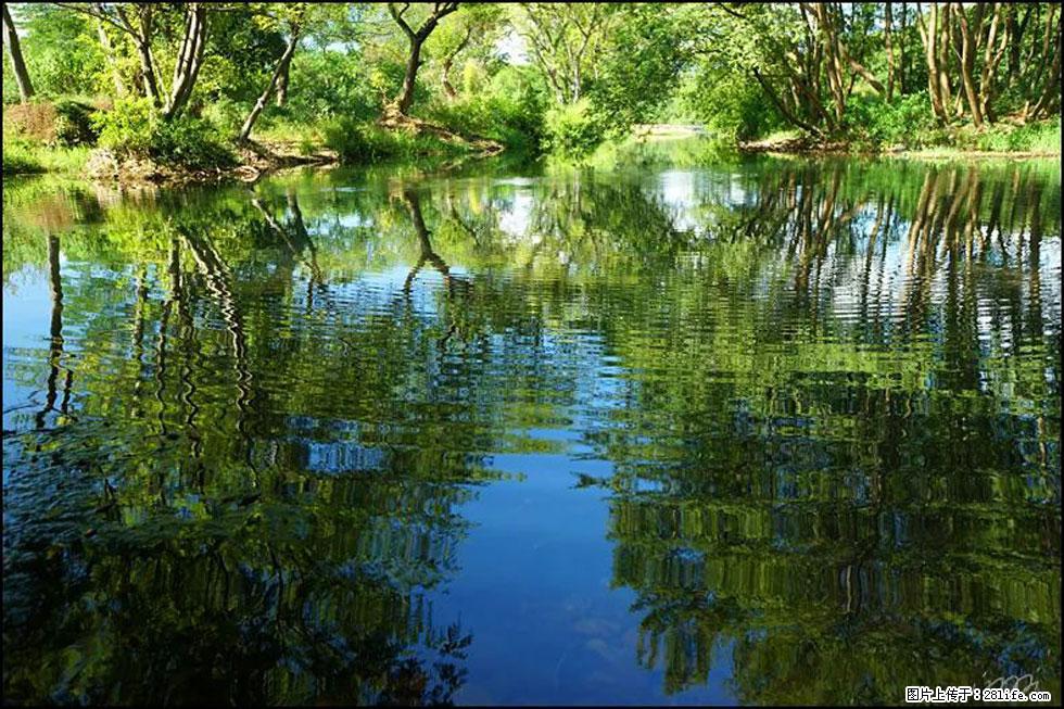 【春天，广西桂林灌阳县向您发出邀请！】熊家寨湿地公园 - 游山玩水 - 资阳生活社区 - 资阳28生活网 zy.28life.net