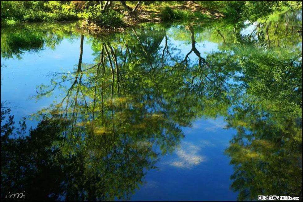 【春天，广西桂林灌阳县向您发出邀请！】熊家寨湿地公园 - 游山玩水 - 资阳生活社区 - 资阳28生活网 zy.28life.net