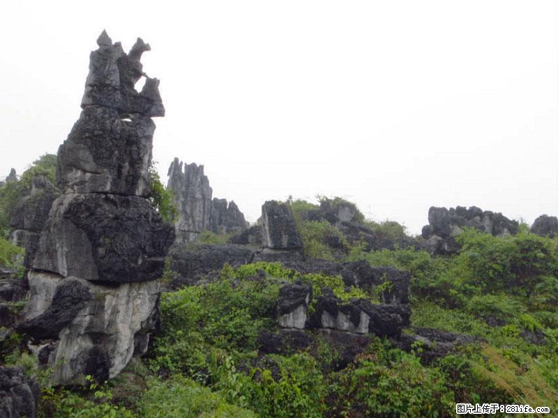 桂林旅游名城景点：灌阳文市石林 - 游山玩水 - 资阳生活社区 - 资阳28生活网 zy.28life.net