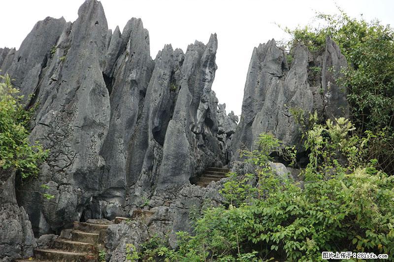 桂林旅游名城景点：灌阳文市石林 - 游山玩水 - 资阳生活社区 - 资阳28生活网 zy.28life.net
