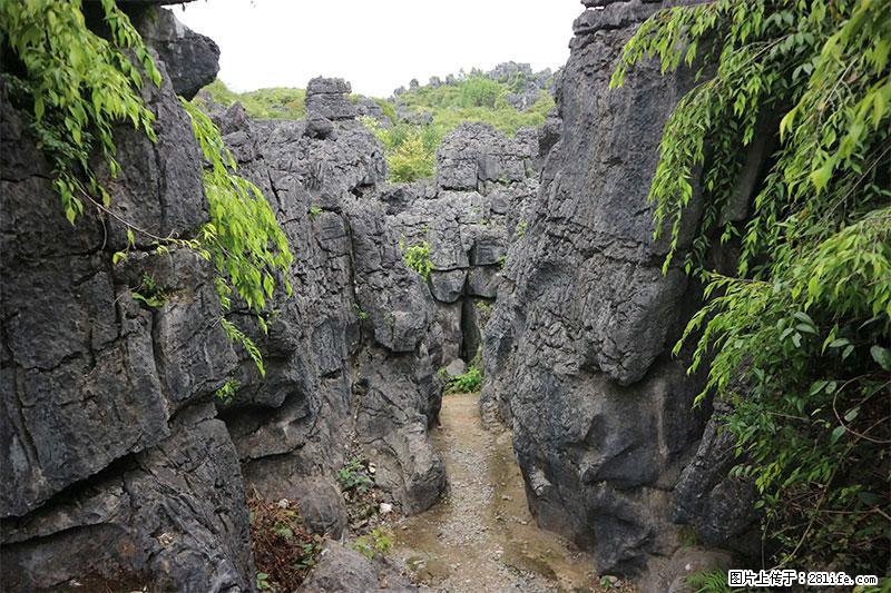桂林旅游名城景点：灌阳文市石林 - 游山玩水 - 资阳生活社区 - 资阳28生活网 zy.28life.net