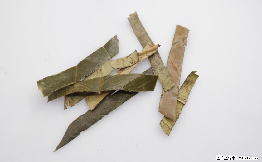 苦丁茶有哪些功效和作用 - 生活百科 - 资阳生活社区 - 资阳28生活网 zy.28life.net