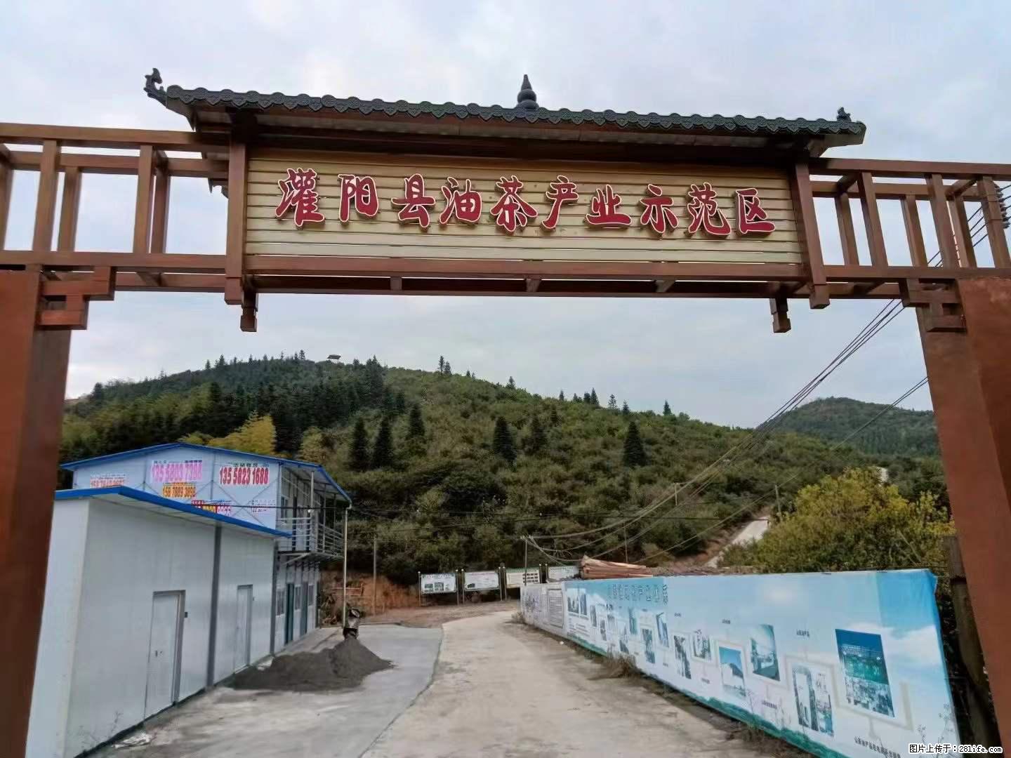 【灌阳县油茶产业示范区】一个有着充实的精神生活的人，对待身外之物自会有一种淡泊的态度 - 土特产 - 饮食特产 - 资阳分类信息 - 资阳28生活网 zy.28life.net
