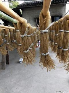 【灌阳正宗红薯粉】美女家里自己做的，干净卫生，假一赔十，价格合理，抢购电话：13737312895 - 资阳28生活网 zy.28life.net