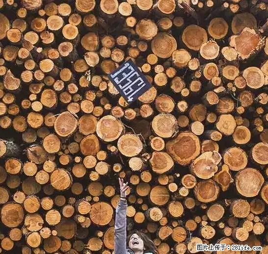 辞掉工作周游世界？现在他们在洗厕所…… - 游山玩水 - 资阳生活社区 - 资阳28生活网 zy.28life.net