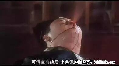 笑癫了！一女的怀孕三年未生，他终于忍不住了... - 娱乐八卦 - 资阳生活社区 - 资阳28生活网 zy.28life.net