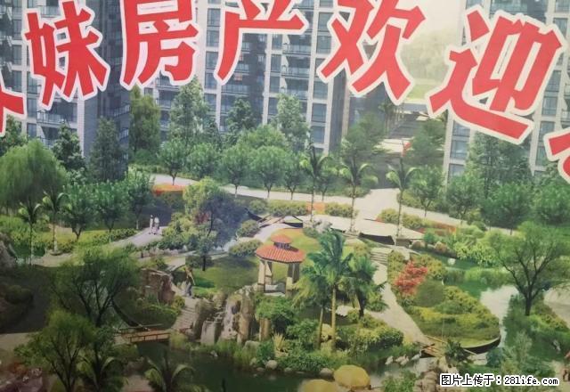 时代阳光16楼套三出租 - 房屋出租 - 房屋租售 - 资阳分类信息 - 资阳28生活网 zy.28life.net