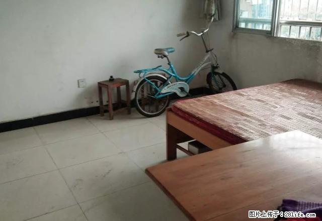 资溪花园B区中装，三室二厅一卫，家具家电齐，拎包入住 - 房屋出租 - 房屋租售 - 资阳分类信息 - 资阳28生活网 zy.28life.net