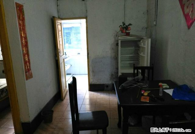 青年路住房出租,家具家电齐全,拎包入住 - 房屋出租 - 房屋租售 - 资阳分类信息 - 资阳28生活网 zy.28life.net