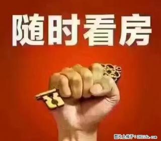 万达公寓楼 24楼 48平米 精装可办公 可居住 1200月 - 资阳28生活网 zy.28life.net
