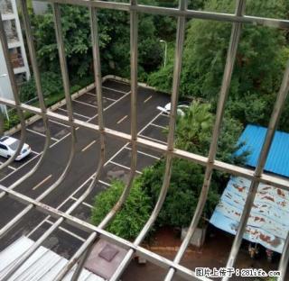 金洋花园2楼，精装套二.漂亮宽敞 - 资阳28生活网 zy.28life.net