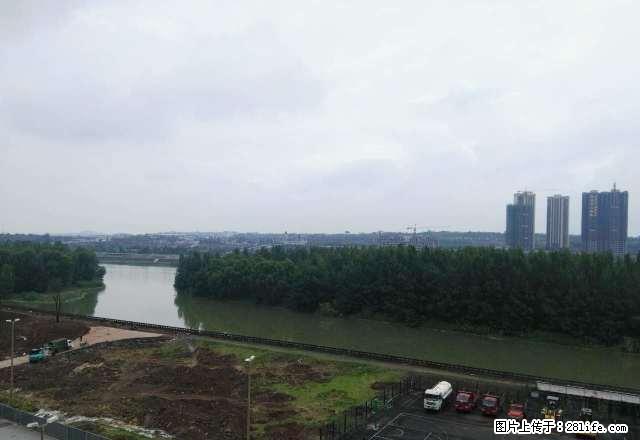 城东金山名苑，精装套二，长租短租皆可，每月只需800元，超值 - 房屋出租 - 房屋租售 - 资阳分类信息 - 资阳28生活网 zy.28life.net