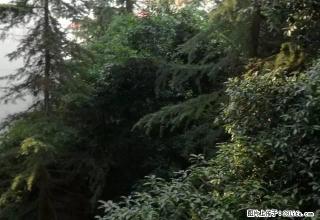 花果山3楼1室1厅，清水房，部份家具 - 资阳28生活网 zy.28life.net