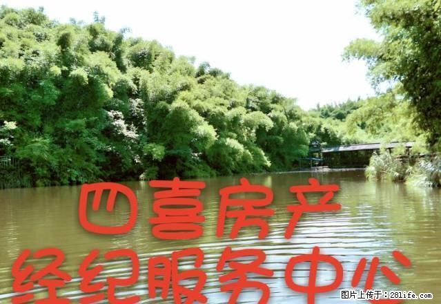 雁江二中观音阁居委会上面！精装套三，家具家电齐！拎包入住 - 房屋出租 - 房屋租售 - 资阳分类信息 - 资阳28生活网 zy.28life.net