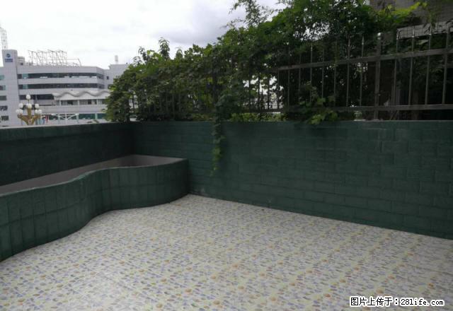 (单间出租)雁江区外水巷3楼，两室，装修，600元 - 房屋出租 - 房屋租售 - 资阳分类信息 - 资阳28生活网 zy.28life.net