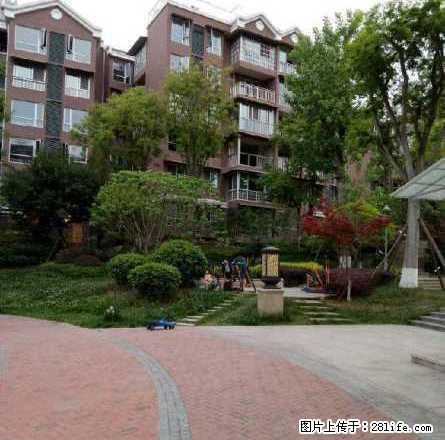 资阳雁江区上西后街烟厂一生活区对套一房屋出租 - 房屋出租 - 房屋租售 - 资阳分类信息 - 资阳28生活网 zy.28life.net