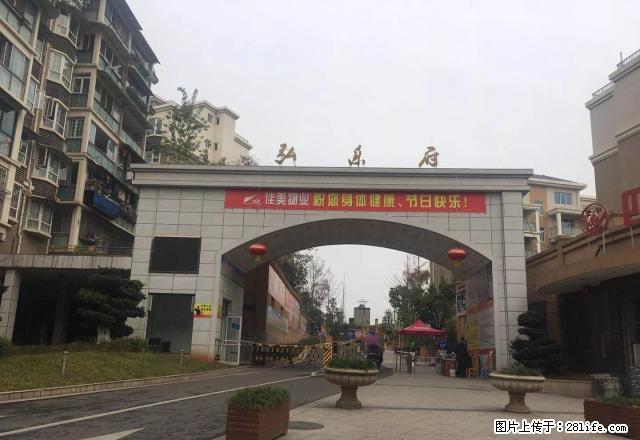 出租弘乐府5楼 精装新房 未住过人带家具家电 1200元/月 - 房屋出租 - 房屋租售 - 资阳分类信息 - 资阳28生活网 zy.28life.net