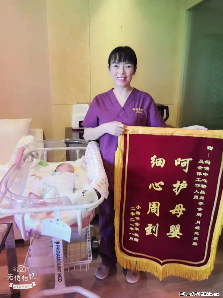 上海高端月子会所招新手月嫂，零基础带教，包吃住 - 职场交流 - 资阳生活社区 - 资阳28生活网 zy.28life.net