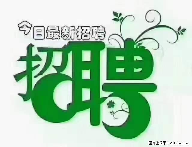 【招聘摄像师】待遇：试用期6000元/月，转正7000元/月+五险一金+餐补+节日福利+奖金 - 职场交流 - 资阳生活社区 - 资阳28生活网 zy.28life.net