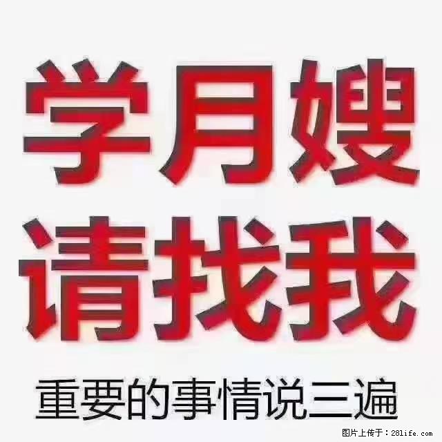 【招聘】月嫂，上海徐汇区 - 职场交流 - 资阳生活社区 - 资阳28生活网 zy.28life.net