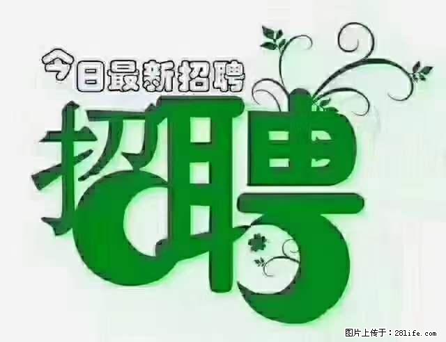 上海隔离酒店招人：55岁以下 男女不限 - 职场交流 - 资阳生活社区 - 资阳28生活网 zy.28life.net