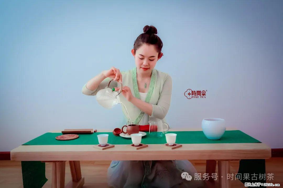 时间果百年古树龙珠普洱生茶 - 购物交流 - 资阳生活社区 - 资阳28生活网 zy.28life.net