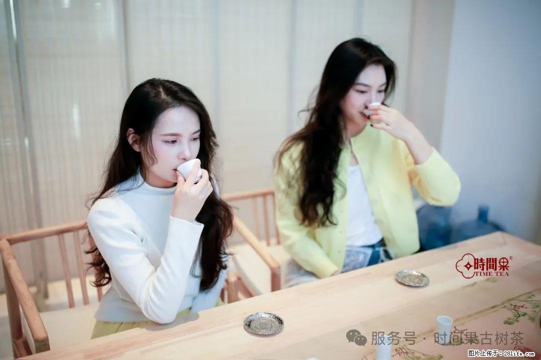时间果百年古树龙珠普洱生茶 - 购物交流 - 资阳生活社区 - 资阳28生活网 zy.28life.net