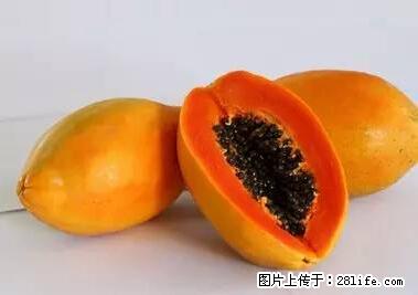 晕车、脚气、牙齿变黄、皮肤粗糙？学会这些三分钟搞定！ - 资阳生活资讯 - 资阳28生活网 zy.28life.net