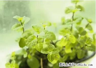 晕车、脚气、牙齿变黄、皮肤粗糙？学会这些三分钟搞定！ - 资阳生活资讯 - 资阳28生活网 zy.28life.net