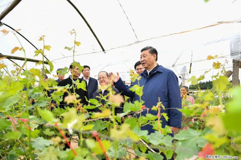 习近平赴广西考察调研 - 资阳生活资讯 - 资阳28生活网 zy.28life.net