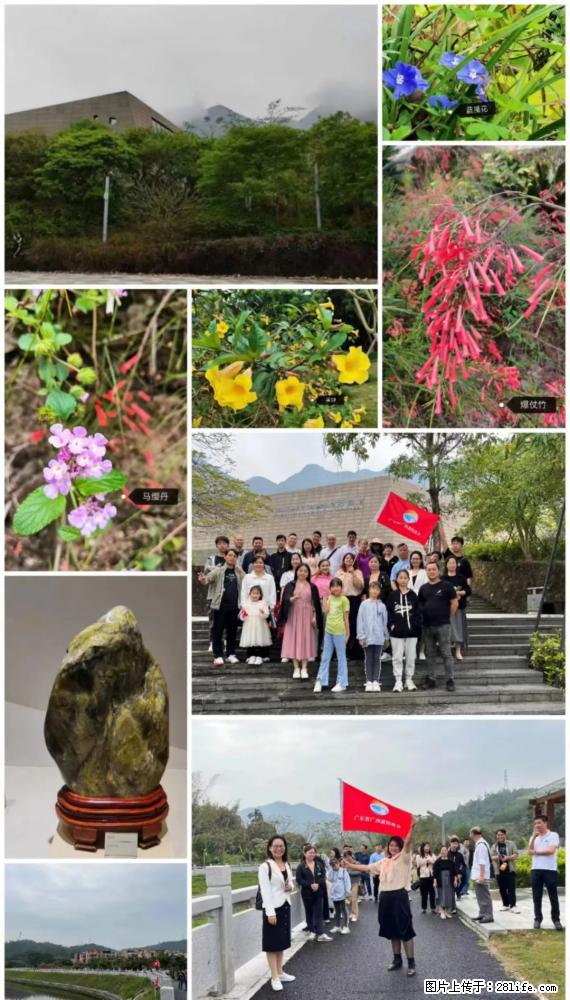 “粤灌文化 美好生活”油茶文化主题活动在广东深圳成功举办 - 资阳生活资讯 - 资阳28生活网 zy.28life.net