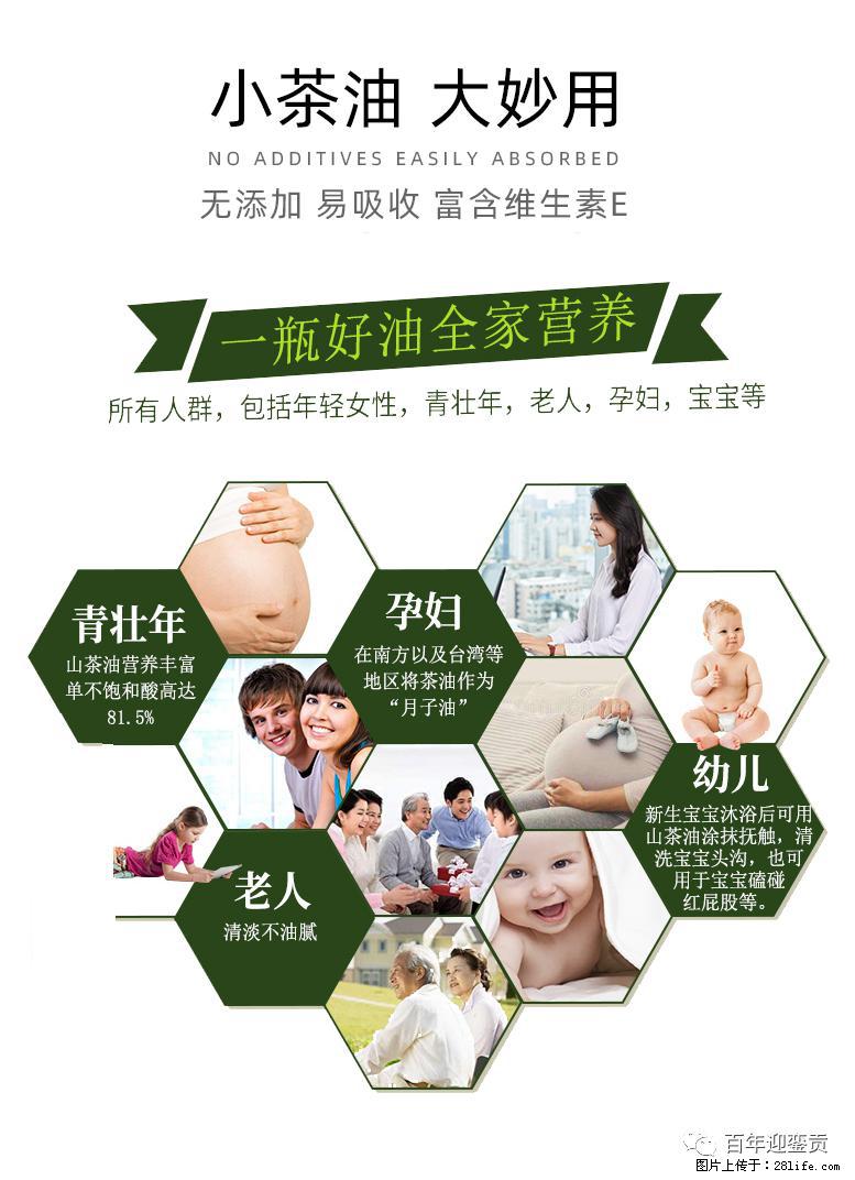 世界没有真相，只有认知，最好的食用油是中国的山茶油！ - 资阳生活资讯 - 资阳28生活网 zy.28life.net