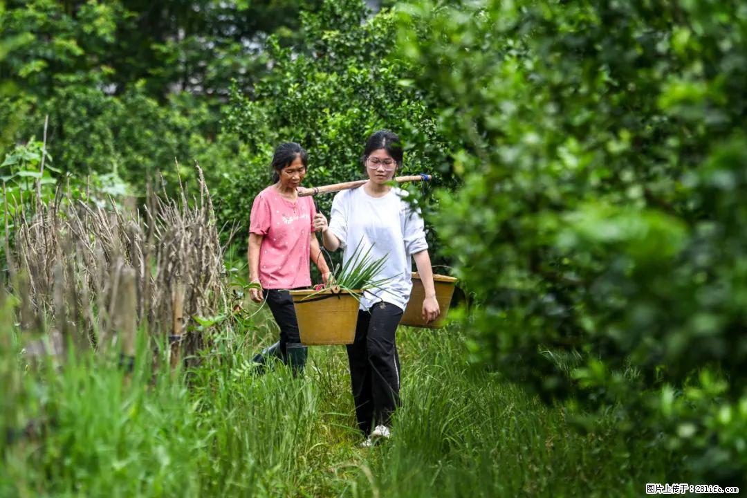 全网追的“扁担女孩”，找了一份暑假工，时薪12元 - 资阳生活资讯 - 资阳28生活网 zy.28life.net
