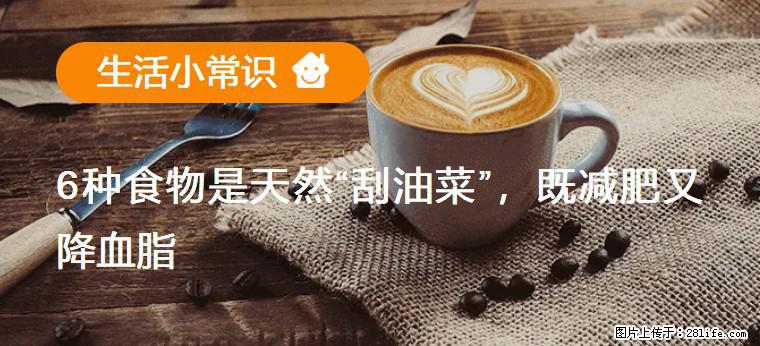 【生活小常识】6种食物是天然“刮油菜”，既减肥又降血脂 - 资阳生活资讯 - 资阳28生活网 zy.28life.net