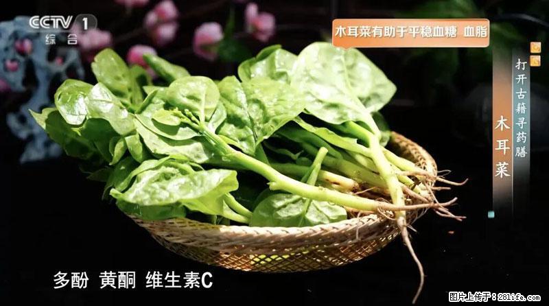 比牛奶补钙还厉害！凉血解毒、稳血糖...这菜冬天必吃，很多人却当草 - 资阳生活资讯 - 资阳28生活网 zy.28life.net