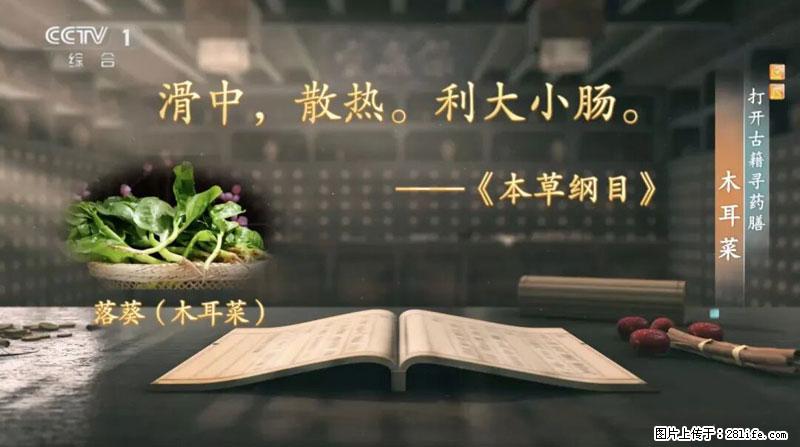 比牛奶补钙还厉害！凉血解毒、稳血糖...这菜冬天必吃，很多人却当草 - 资阳生活资讯 - 资阳28生活网 zy.28life.net